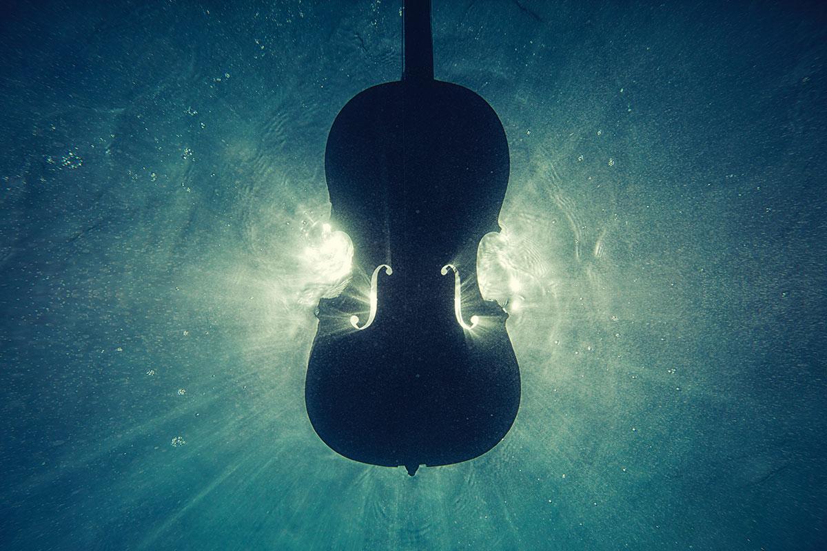 Violino na agua